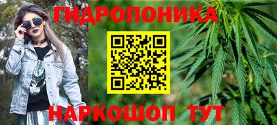 СК Новодвинск