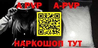 СК Новодвинск