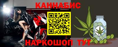 СК Новодвинск