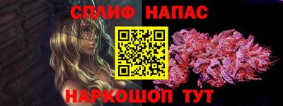 амф Новозыбков