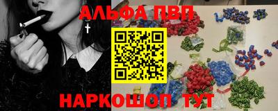 СК Новодвинск