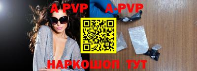 СК Новодвинск