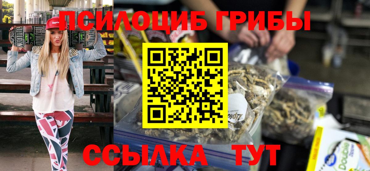 Похвистнево  Галлюциногенные грибы Magic Shrooms  цена   Вход с VPN 